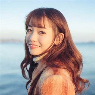 大东家小镇模拟手机版下载